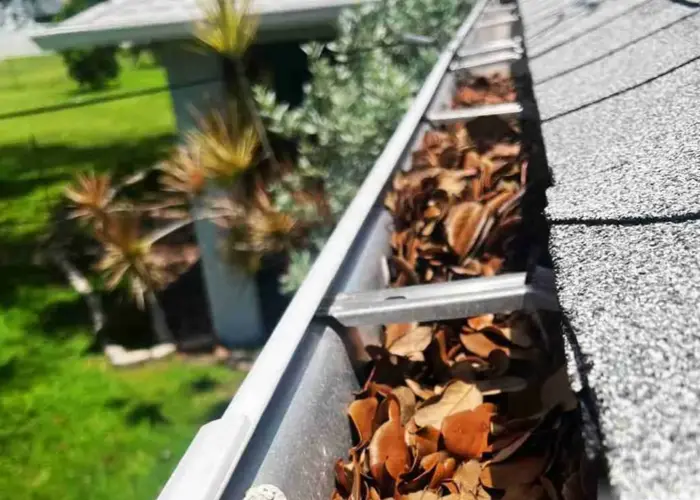 Springdale gutter cleaning home page